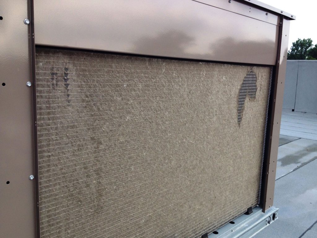 6 Reasons Why You Need to Install Cottonwood Filter Screens Now