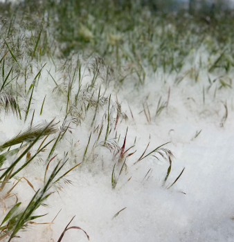 HVAC Risks Near You, and How an HVAC Filter Screen Helps
