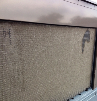 6 Reasons Why You Need to Install Cottonwood Filter Screens Now